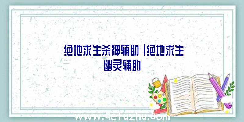 「绝地求生杀神辅助」|绝地求生幽灵辅助